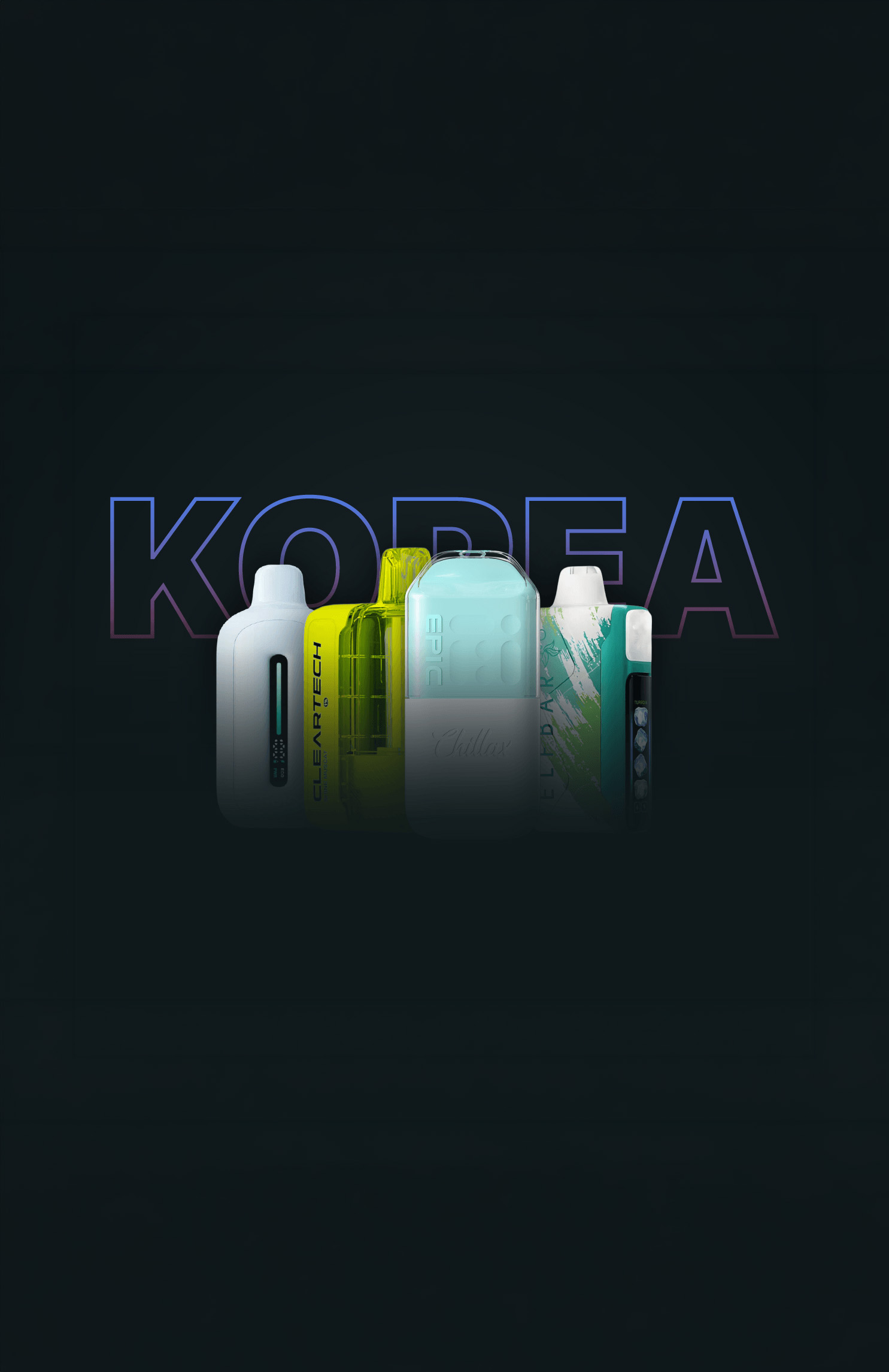 South Korea Online Disposable Vape Market Snapshot